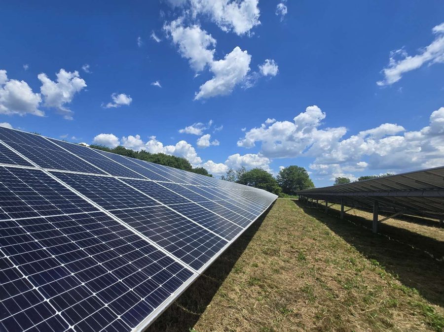 Long row of solar panels beside a freshly mowed aisle