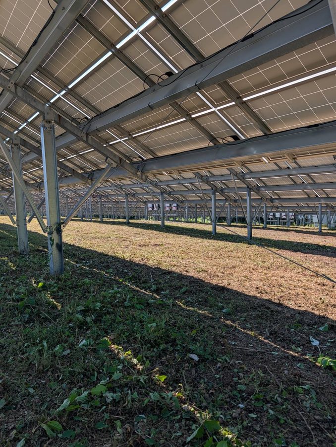 Freshly cut ground under a fixed-tilt solar array